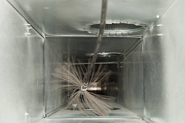 Best Professional Duct Cleaning Services  in Bort, GA
